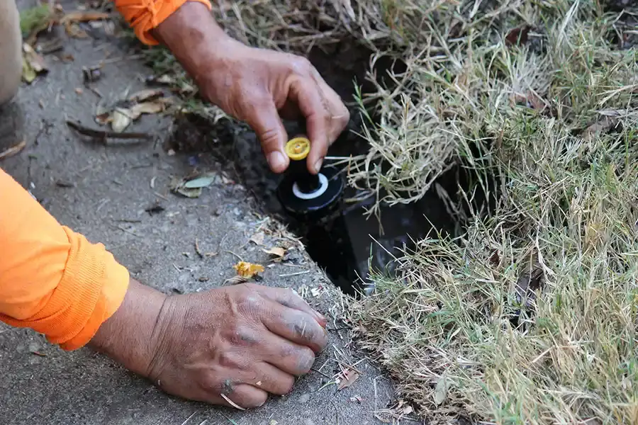 Sprinkler Installation